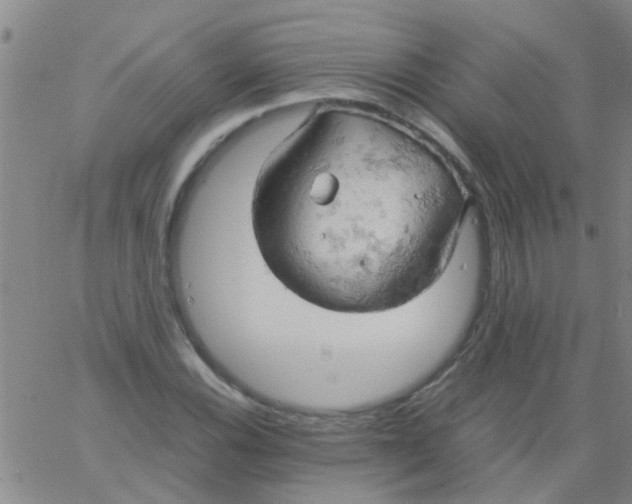 X0000061741116200512231453