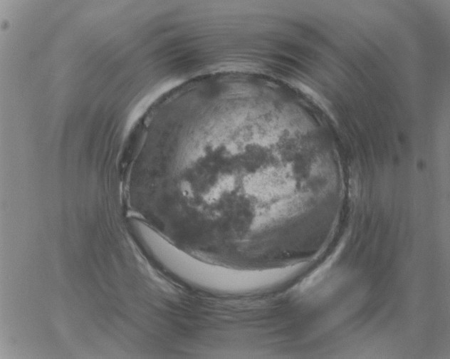 X0000061741117200512231453