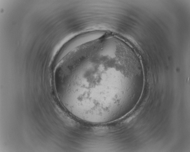 X0000061741118200512231453