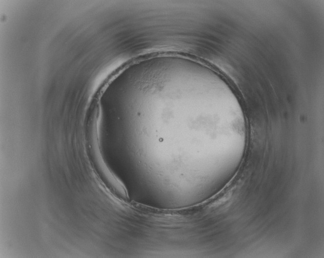 X0000061741119200512231453