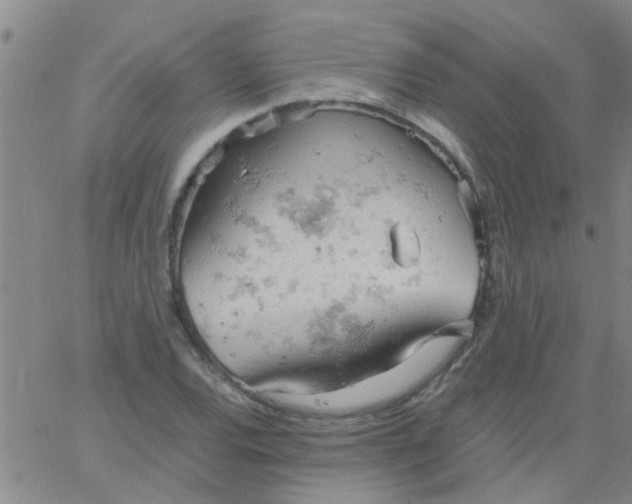 X0000061741120200512231453