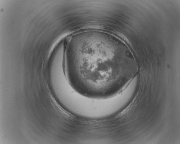 X0000061741123200512231453