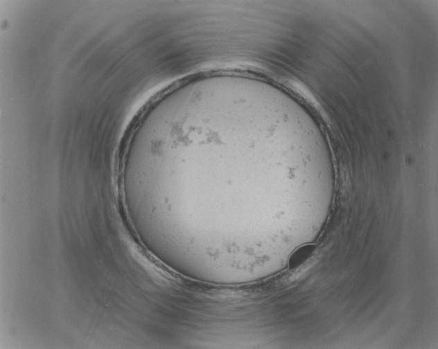 X0000061741124200512231453