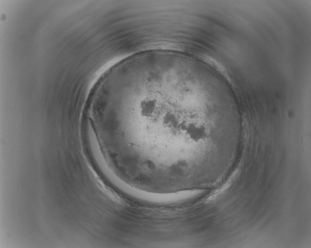 X0000061741125200512231453