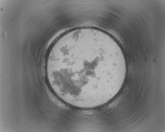 X0000061741126200512231453