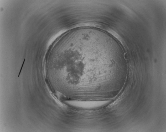 X0000061741127200512231453