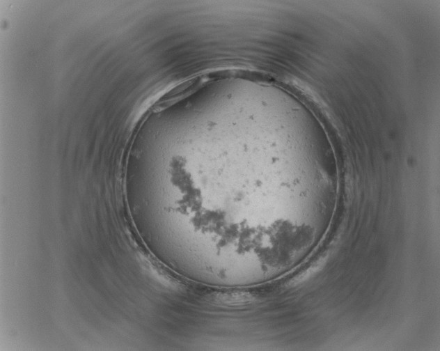 X0000061741129200512231453