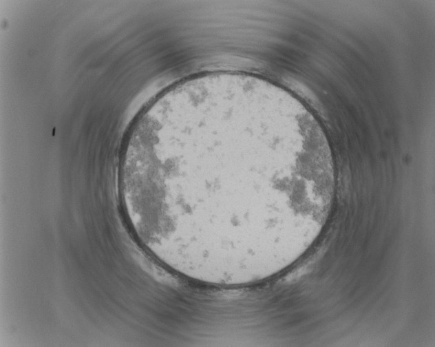 X0000061741130200512231453