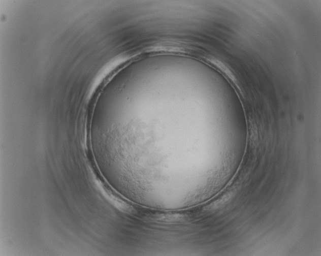 X0000061741131200512231453