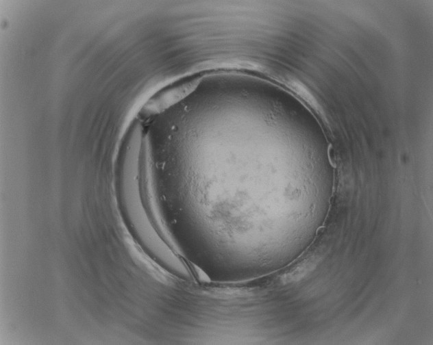 X0000061741132200512231453