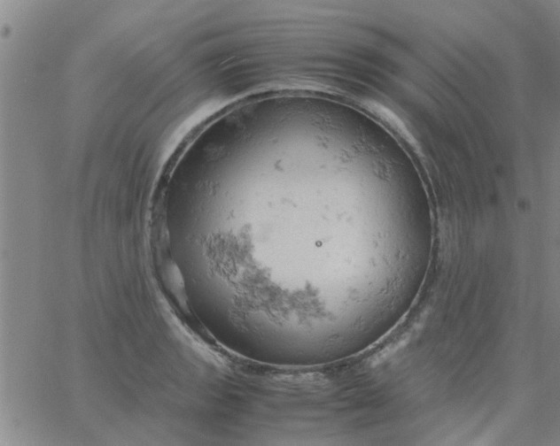 X0000061741133200512231453