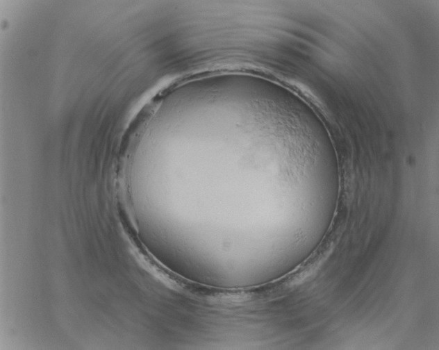 X0000061741134200512231453