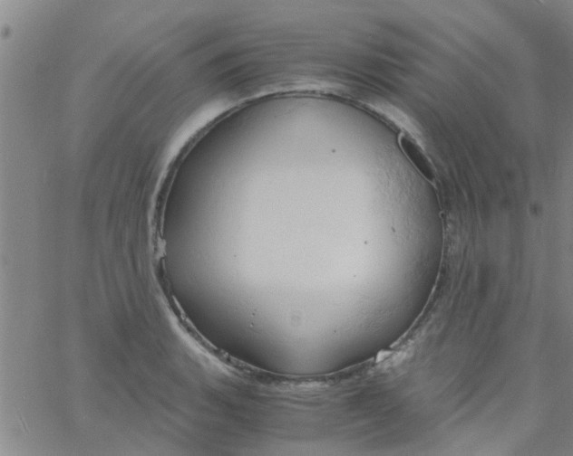 X0000061741135200512231453