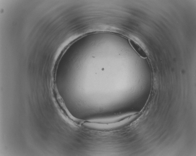 X0000061741136200512231453