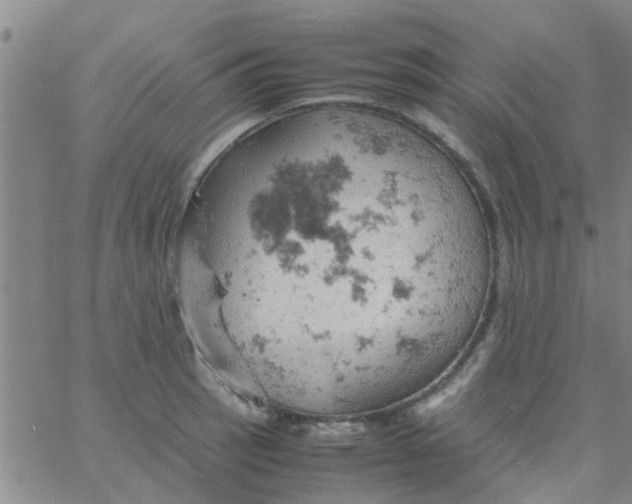 X0000061741137200512231453