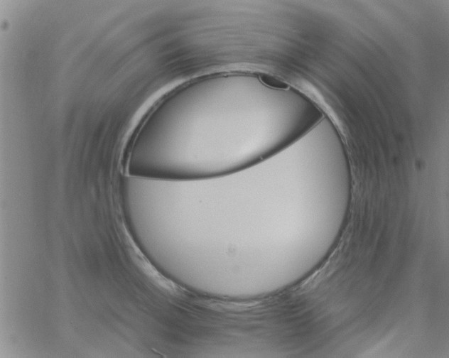 X0000061741140200512231453