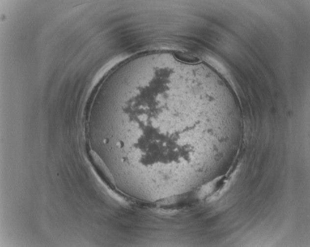 X0000061741141200512231453