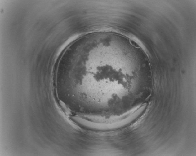 X0000061741142200512231453