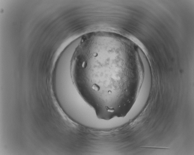 X0000061741144200512231453