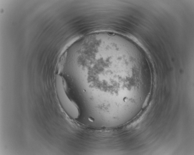 X0000061741145200512231453