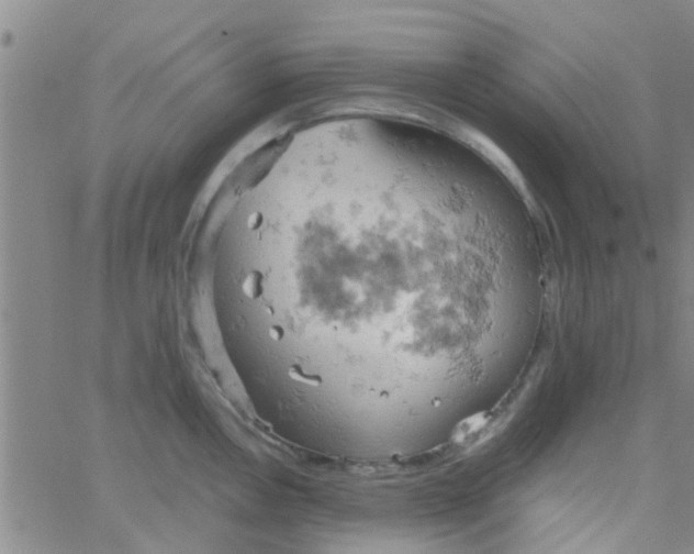 X0000061741146200512231453