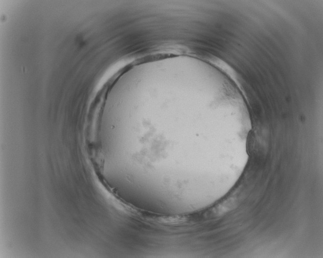 X0000061741147200512231453