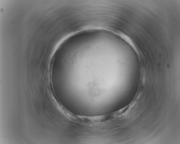 X0000061741148200512231453