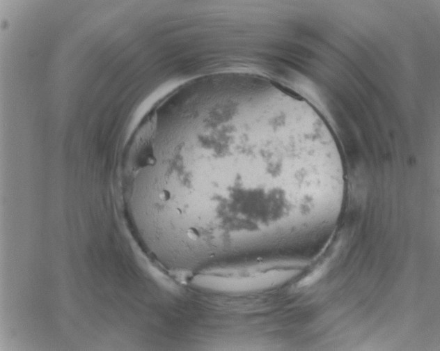 X0000061741149200512231453