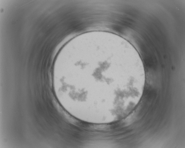 X0000061741150200512231453