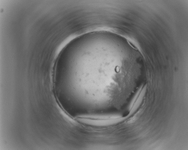 X0000061741151200512231453