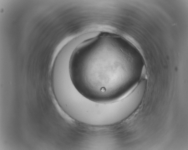 X0000061741152200512231453