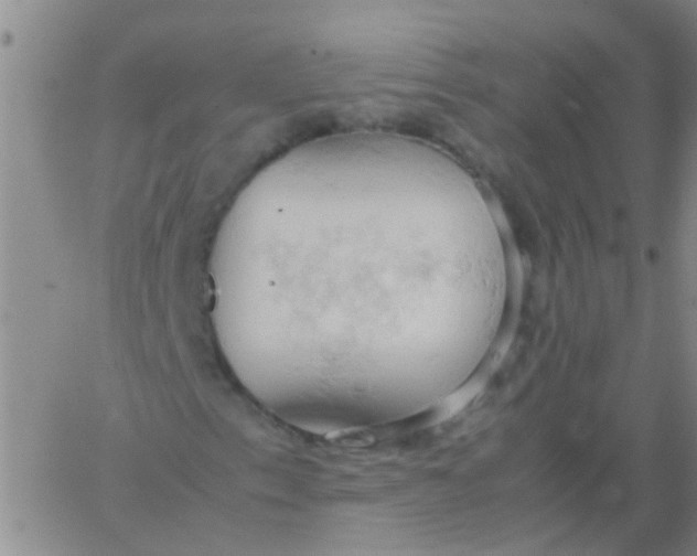 X0000061741153200512231453