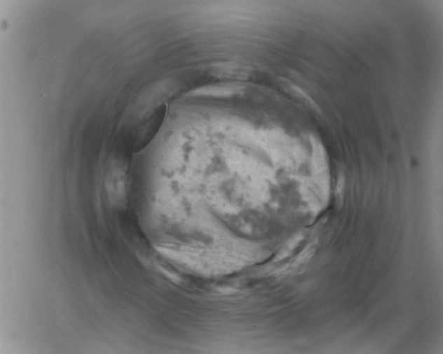 X0000061741154200512231453