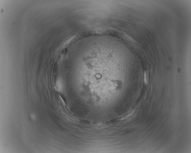 X0000061741155200512231453