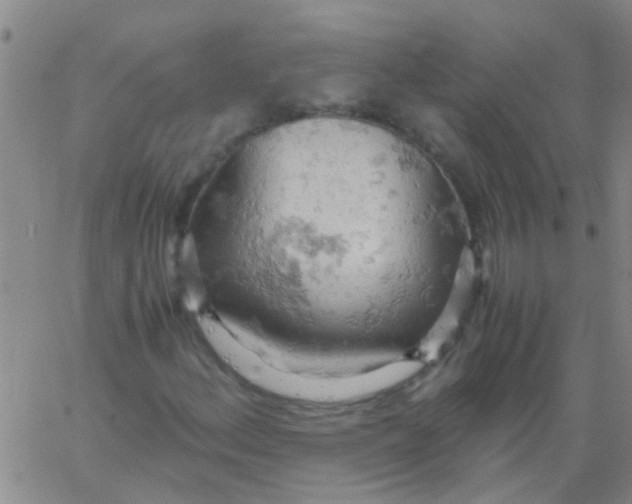 X0000061741156200512231453