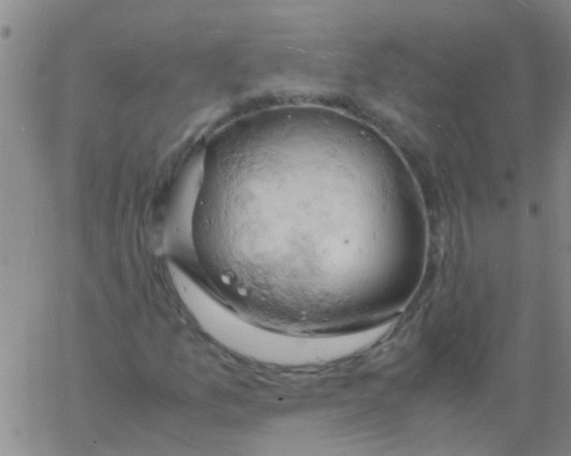 X0000061741157200512231453