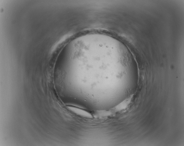 X0000061741159200512231453