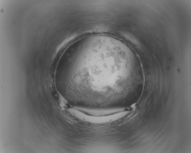 X0000061741160200512231452