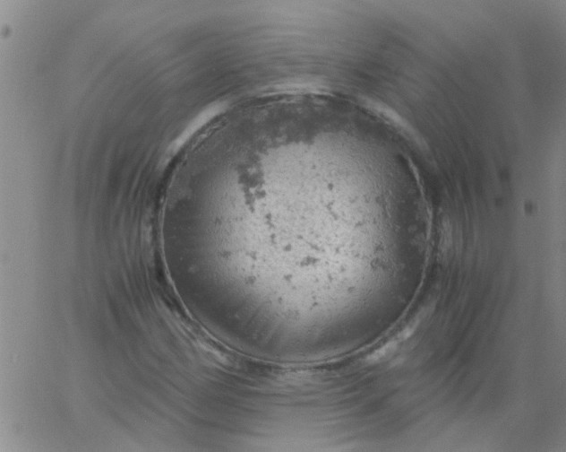 X0000061741162200512231452