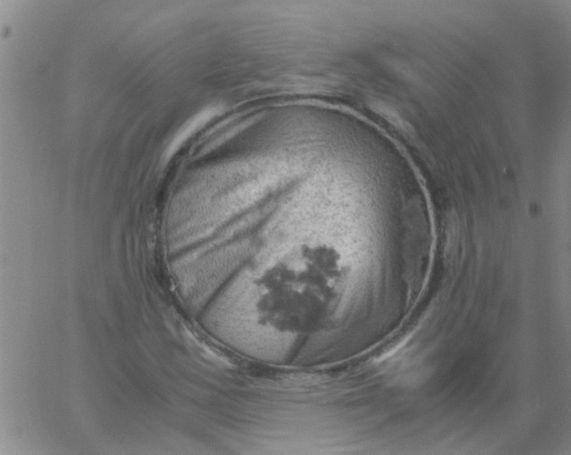 X0000061741163200512231452