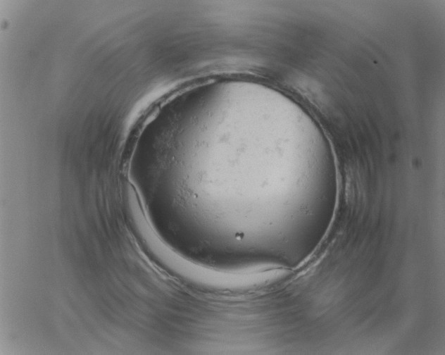 X0000061741164200512231452