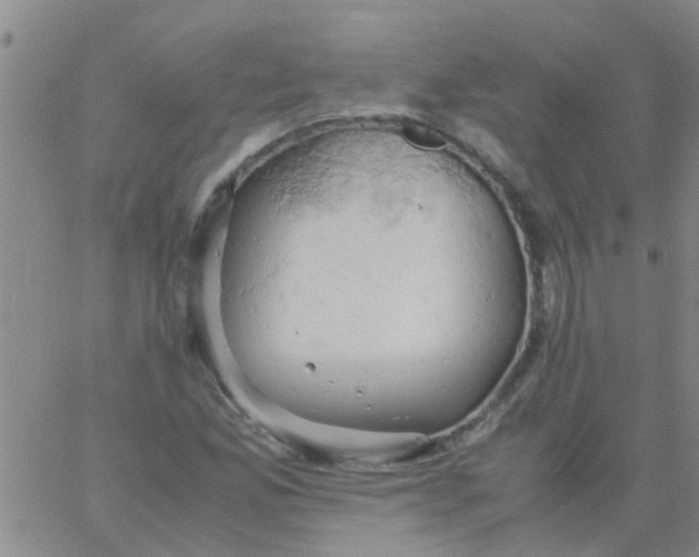 X0000061741165200512231452