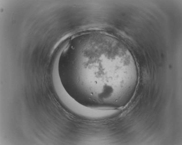 X0000061741166200512231452