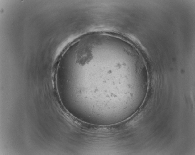 X0000061741167200512231452