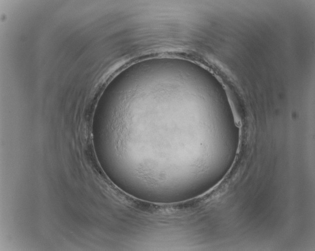 X0000061741169200512231452