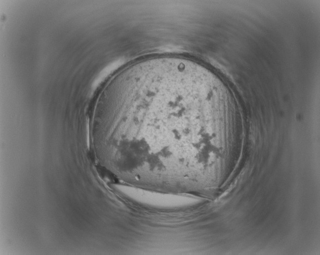 X0000061741171200512231452