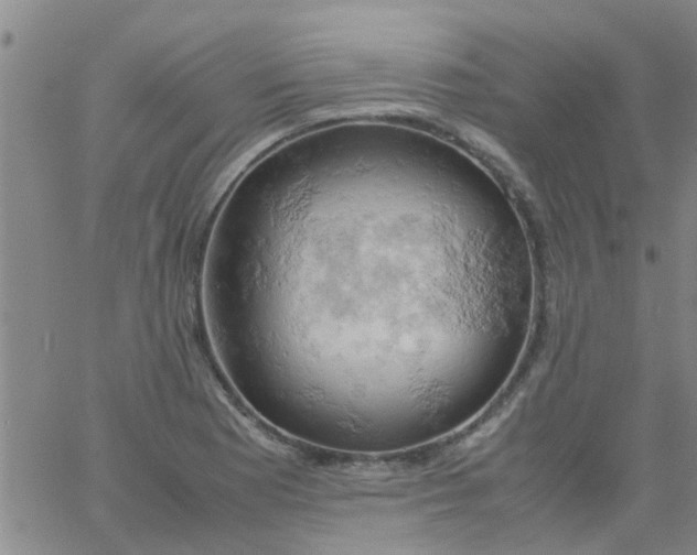 X0000061741177200512231452