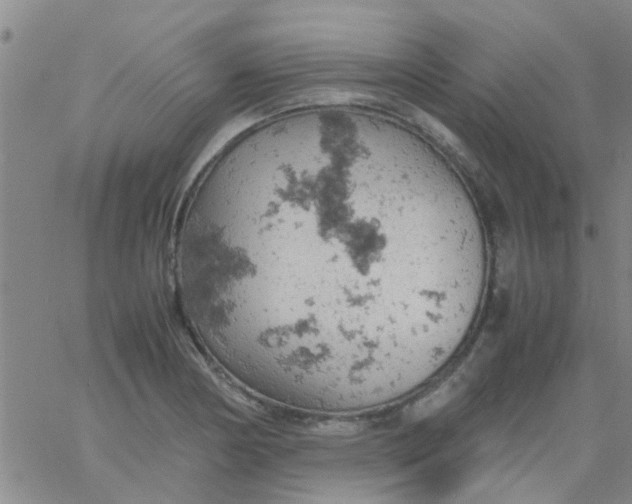 X0000061741178200512231452