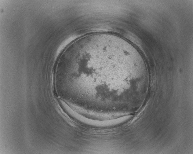 X0000061741179200512231452