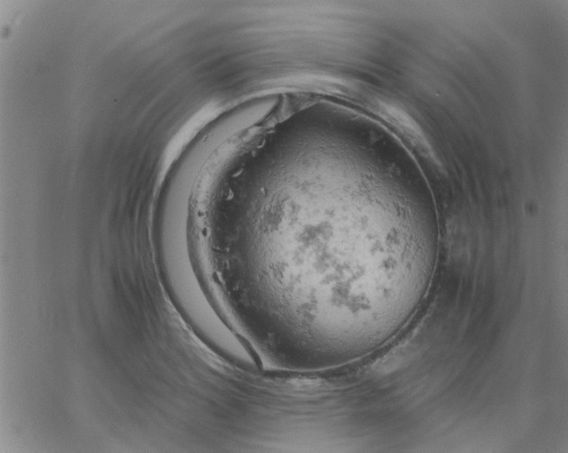 X0000061741180200512231452